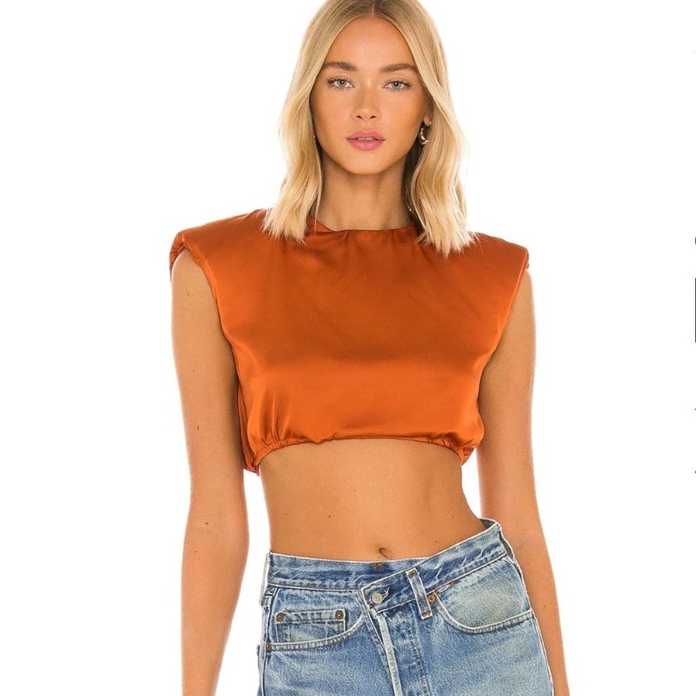 NWT superdown Renee Crop Top in Rust XS